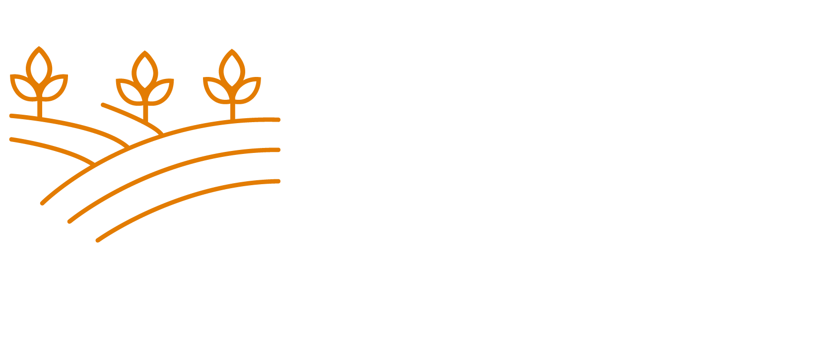 buraltarim.com