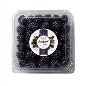 Premium Böğürtlen 2 kg (Antalya İçi Teslimat)